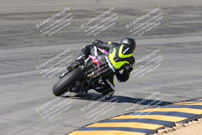 media/Feb-04-2024-SoCal Trackdays (Sun) [[91d6515b1d]]/4-Bowl Backside (11am)/